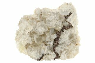 Fluorescent Cubic Fluorite Cluster - Diana Maria Mine, England #235378