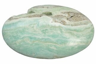 Polished Blue Caribbean Calcite Palm Stone #236774
