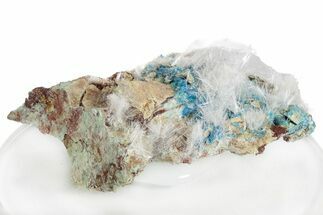 Vibrant Blue Chalcanthite w/ Halotrichite - Planet Mine, Arizona #236835