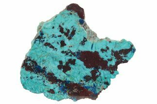 Colorful Chrysocolla and Shattuckite Slab - Mexico #236826