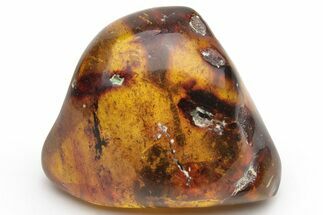 Polished Chiapas Amber ( g) - Mexico #237398