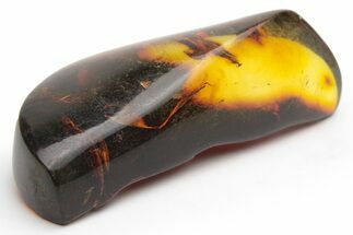 Polished Chiapas Amber ( grams) - Mexico #237415