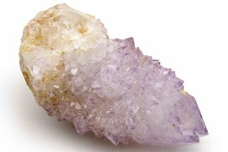 Cactus Quartz (Amethyst) Crystal Cluster - South Africa #237391