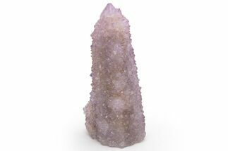 Cactus Quartz (Amethyst) Crystal Cluster - South Africa #237396