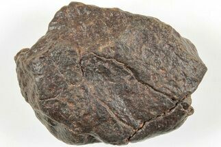 Chondrite Meteorite ( grams) - Western Sahara Desert #233207