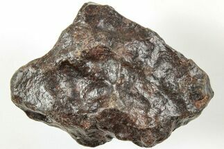 Chondrite Meteorite ( grams) - Western Sahara Desert #233219