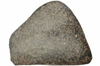Polished Chondrite Meteorite Slice ( g) - Unclassified NWA #238047