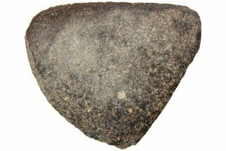 Polished Chondrite Meteorite Slice ( g) - Morocco #238055