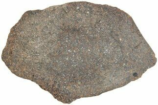 Polished Chondrite Meteorite Slice ( g) - Morocco #238059