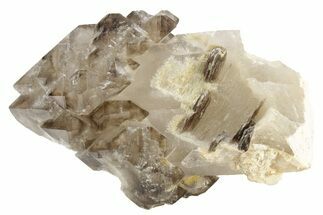 Lustrous Smoky Elestial Quartz - Brazil #238106