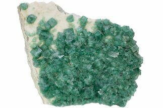 Green, Fluorescent, Cubic Fluorite Crystals - Madagascar #238389