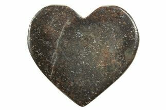 Chondrite Meteorite Cabochon ( g) - Meteorite #238191