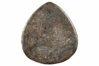 Chondrite Meteorite Cabochon ( g) #238195