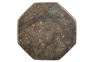 Stony Chondrite Cabochon ( g) - Meteorite #238224
