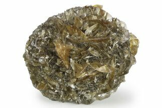 Twinned Selenite Crystals (Fluorescent) - Red River Floodway #154408