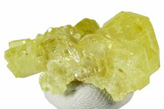Bright-Yellow Sulfur Crystal Cluster - Italy #238419