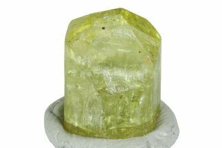 Gemmy, Yellow Apatite Crystal - Morocco #239150