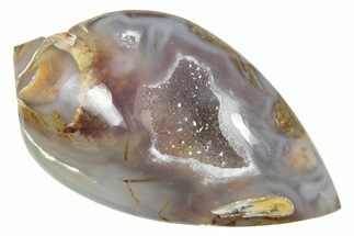 Chalcedony Replaced Gastropod With Sparkly Quartz - India #239291