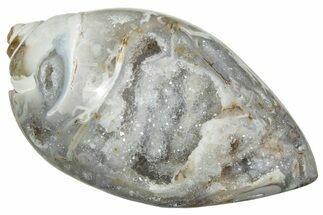 Chalcedony Replaced Gastropod With Sparkly Quartz - India #239315