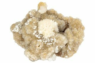 Thomsonite (Zeolite) on Sparkling Heulandite - Maharashtra, India #238477