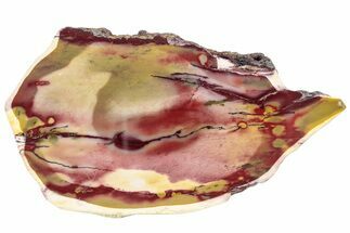 Colorful, Polished Mookaite Jasper Slab - Australia #239658