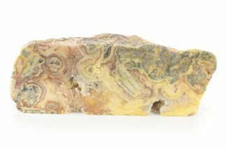 Free-Standing, Polished, Crazy Lace Agate Section - Australia #239770