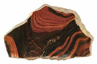 Polished Tiger Iron Stromatolite Slab - Billion Years #239608