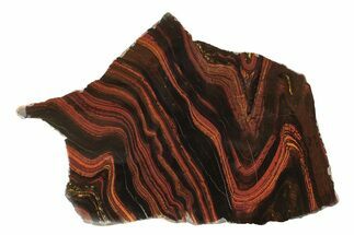 Polished Tiger Iron Stromatolite Slab - Billion Years #239612