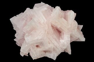 Pink Halite Crystal Cluster - Trona, California #239543