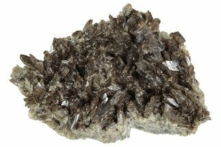 Lustrous Axinite Crystal Cluster - Dalnegorsk, Russia #239600