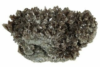 Lustrous Axinite Crystal Cluster - Dalnegorsk, Russia #239602