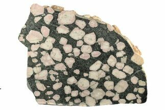 Polished Porphyry Stone Thick-Cut Slab - Western Australia #239752