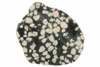 Polished Porphyry Stone Slab - Western Australia #239753