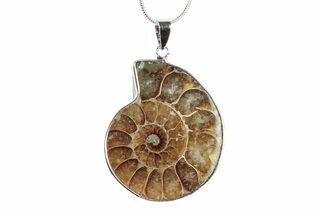 Fossil Ammonite Pendant - Million Years Old #238521