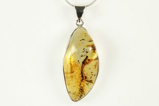 Polished Baltic Amber Pendant (Necklace) - Sterling Silver #240300