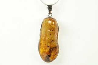 Polished Baltic Amber Pendant (Necklace) - Sterling Silver #240304