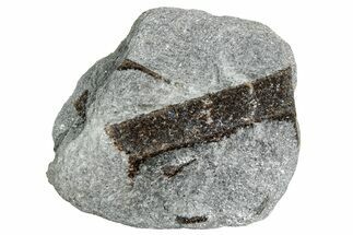 Twinned Staurolite Cross In Mica-Schist - Pestsovye Keivy, Russia #240400