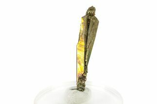 Glistening Marcasite Crystal Stalactite - Linwood Mine, Iowa #240548