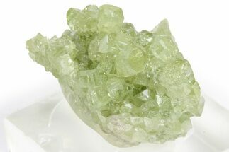 Lustrous Vesuvianite Crystal Cluster - Jeffrey Mine, Canada #240654