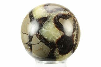 Polished Septarian Sphere - Madagascar #238989