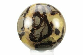 Polished Septarian Sphere - Madagascar #238993