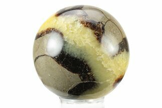 Polished Septarian Sphere - Madagascar #238997