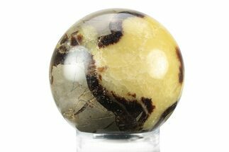 Polished Septarian Sphere - Madagascar #238999