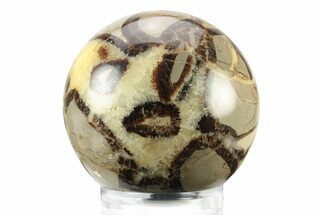 Polished Septarian Sphere - Madagascar #239003