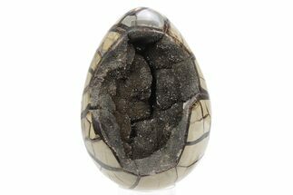 Septarian Dragon Egg Geode - Black Crystals #241096
