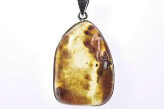 Polished Baltic Amber Pendant (Necklace) - Sterling Silver #241214