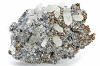 Iridescent Chalcopyrite, Calcite & Dolomite on Galena - Missouri #241754