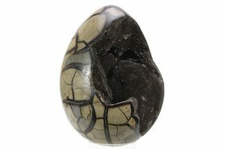 Septarian Dragon Egg Geode - Black Crystals #241557