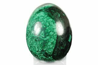 Flowery, Polished Malachite Egg - Congo #241930