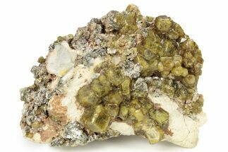 Yellow Andradite-Grossular Garnet Cluster with Clinochlore - Mali #242499